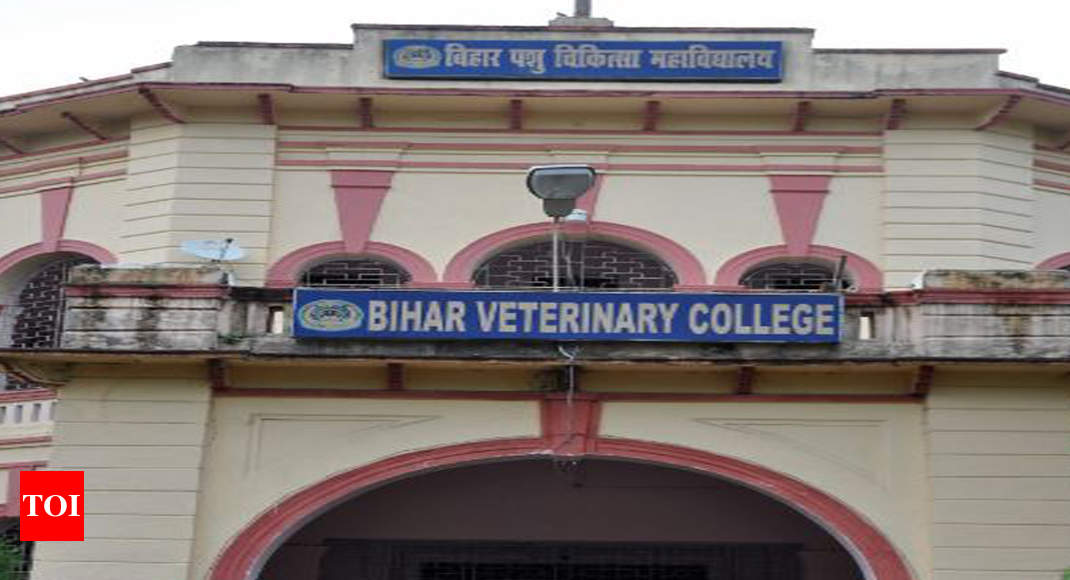Bihar animal sciences varsity to celebrate first anniversary today | Patna  News - Times of India