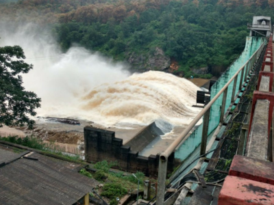 Possibility of minor-to-medium flood in 11 Odisha districts as Mahanadi swells