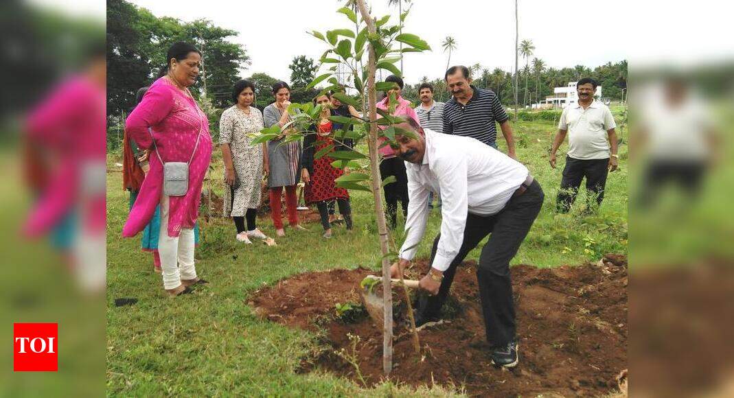 NGO looks to transform vacant plots into kitchen gardens Mysuru News