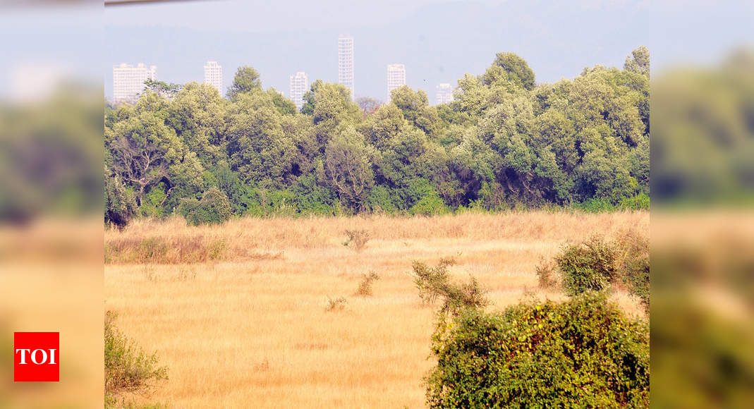 Rajasthan government lifts ban on allotment of barren land in Jaisalmer