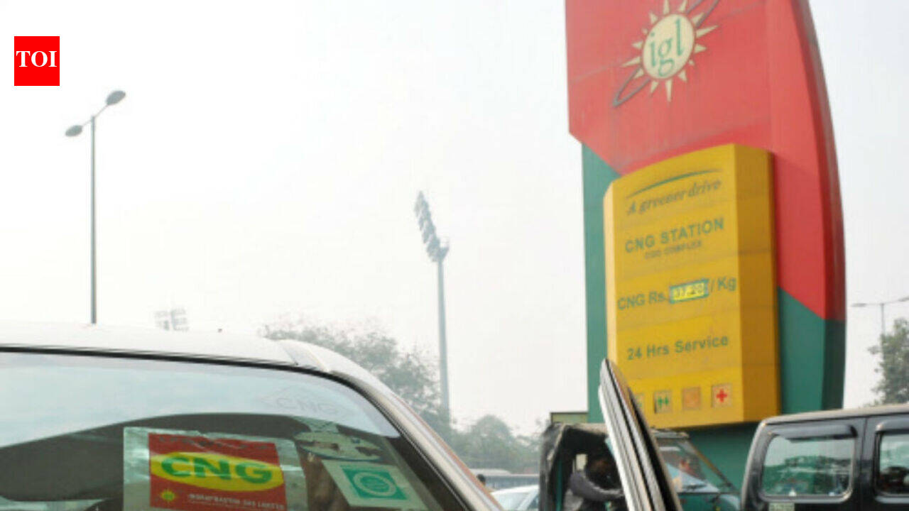 Gas price set to hit 28-month high from October - The Times of India