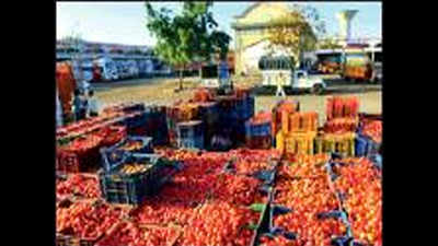 Tomato farmers in a soup as Pakistan import ban worsens woes