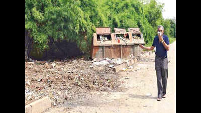 Swachh Bharat plan dumped in Sector 40
