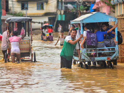 Nagaland requires Rs 800 crore for flood restoration work: Official
