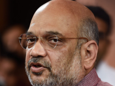 Local poll results in Karnataka show people's continued support for BJP: Shah