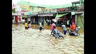 At 270mm, Sawai Madhopur gets highest rainfall in state