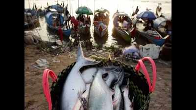 Fisheries sector suffers Rs 16.10 crore loss in Ernakulam district
