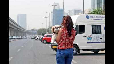 Can pet tax be levied on owners: HC