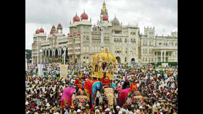 Dasara elephants on a mission to capture rogue tusker