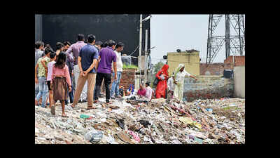 Carcass of ox in garbage dump triggers tension