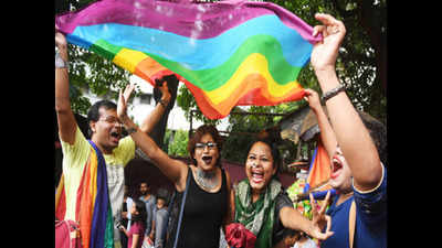 Kolkata: First battle won but a long way to go, says LGBTQI community