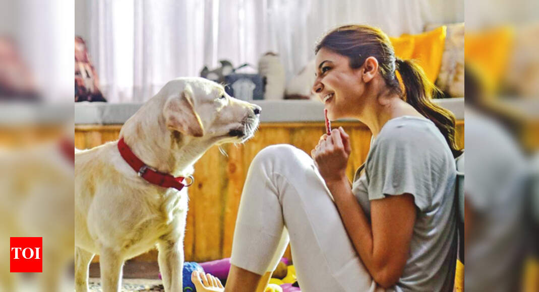 Celebs and their cuddle partners - Times of India