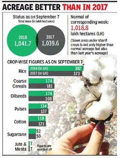 Kharif crops improve acreage, crosses last year's mark