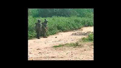 Bomb hoax in army farm leads to panic in Sitapur