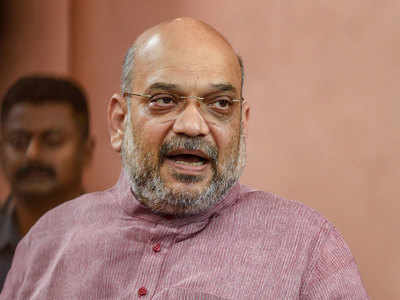 Will not allow India to be safe destination for illegal infiltrators: Amit Shah
