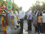 20 colourful pictures of Pola festival celebrations