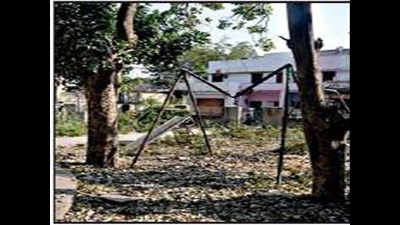 Parks turn into breeding ground for diseases in Jaipur