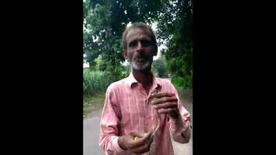 Drunk man in UP eats live snake, dies; video goes viral