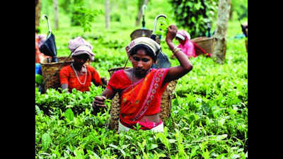 Aasaa on stir path to hike tea garden workers' wages