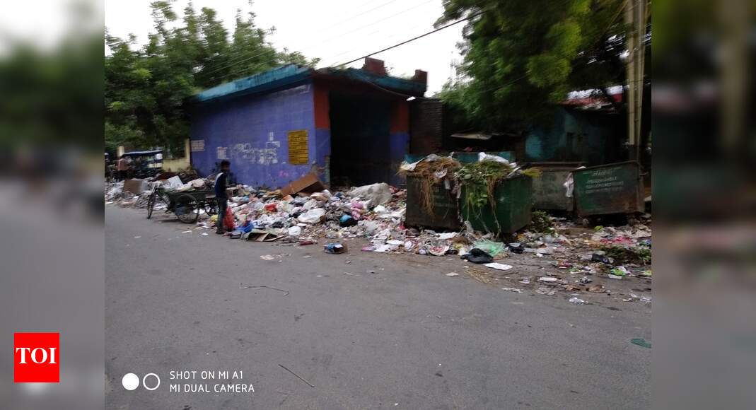 Garbage problem essay brainly picture