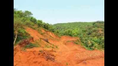 Panels pave way for reduction of protected land in Aravalis