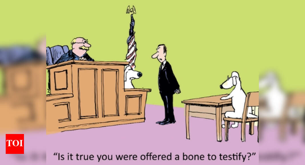 Fundamental rights - Times of India