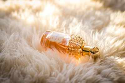 Perfumes for women: Best brands that Indian women should go for