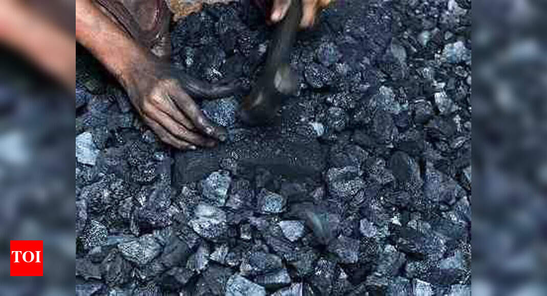 Centre issues guidelines to check diversion of imported pet coke
