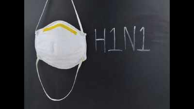 UP govt forms district-level rapid response teams to tackle H1N1