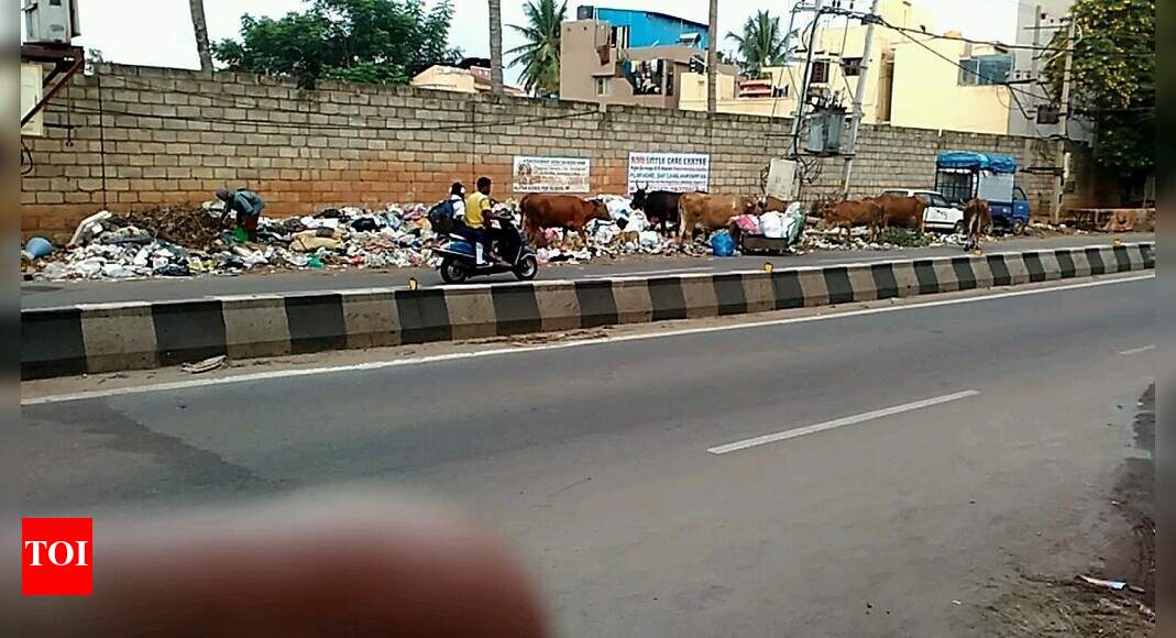 Garbage dumping Times of India