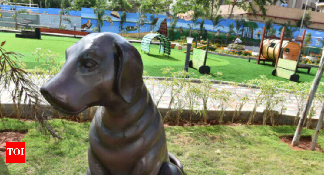 India's first exclusive dog park comes up in Hyderabad India News