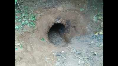 Madhya Pradesh man crawls inside porcupine’s den, dies