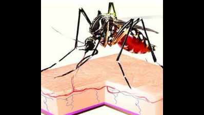 106 dengue, 30 malaria cases in a week in Delhi