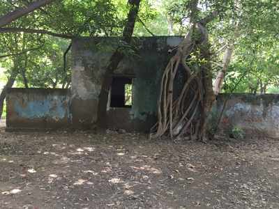 Dilapidated structure near DDA park, Vasant vihar