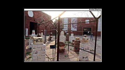 Jaipur: Ceramic art beings out new facets of creativity