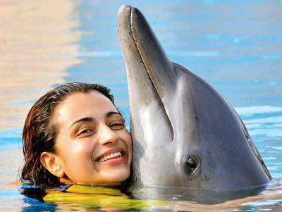 Why there’s nothing cute about Trisha’s dolphin post