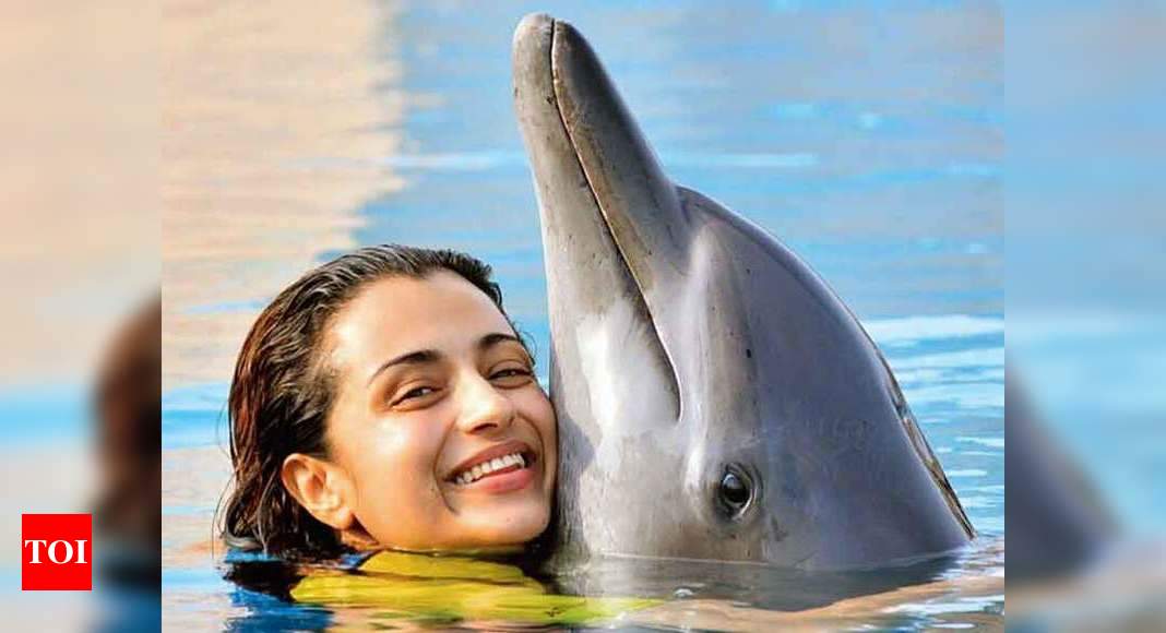 Why there’s nothing cute about Trisha’s dolphin post | Telugu Movie