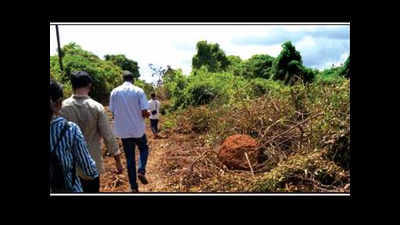 Forest officials, flying squad inspect Chimbel illegal road