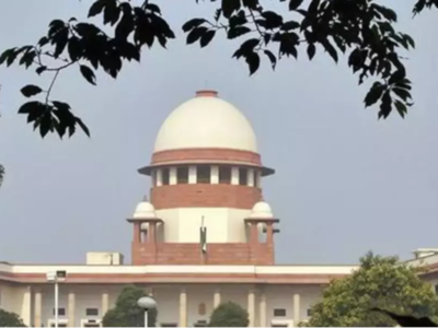 Prove charge of deceit against ArcelorMittal: SC to Numetal