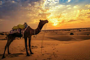 6 interesting experiences that await you in Jaisalmer
