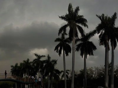 Cyclone to hit Odisha and Andhra coasts tonight: IMD