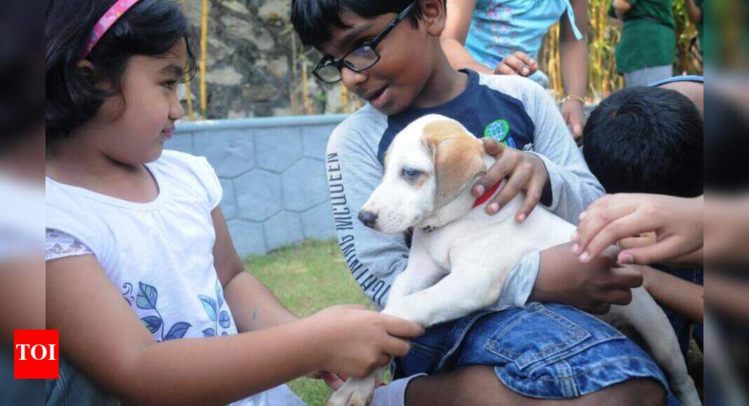 Pet shop owners not happy about new rules Thiruvananthapuram News