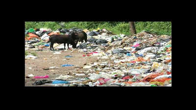 Garbage dumping around Old Goa’s heritage monuments upset locals