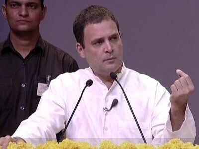 Country cannot run on one single idea: Rahul Gandhi