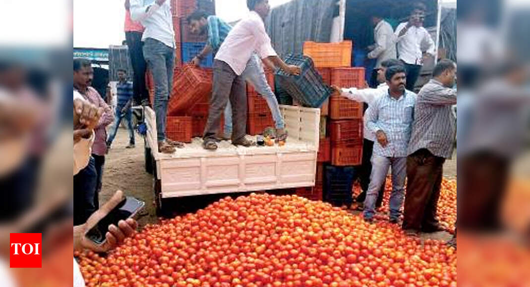 Farmers throw tomatoes on PuneNashik highway Pune News Times of India