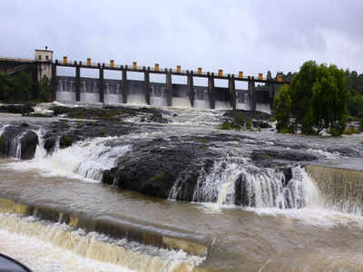 Water Stock Of Four Dams Down By 1 Tmc In 15 Days Over Poor Rainfall | Pune  News - Times Of India