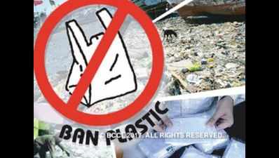 Plastic ban: Paper bags back in markets