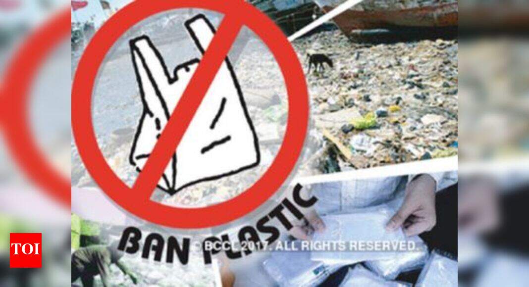Plastic ban Paper bags back in markets Patna News Times of India