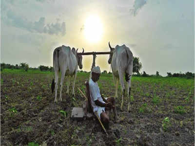 ‘Farmers near Bengaluru use water-intensive crops’