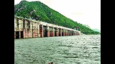 Cyclone Daye gives a fresh lease of life to Bisalpur dam
